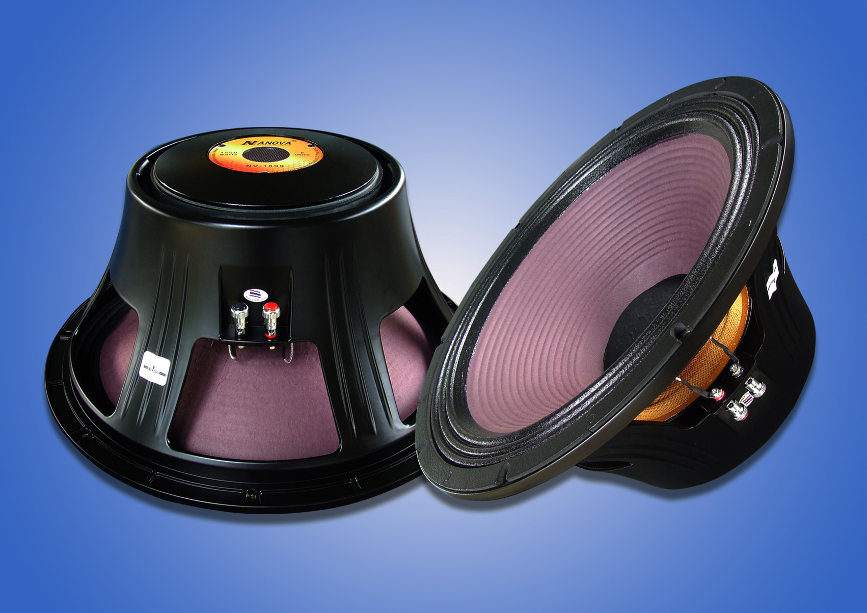 nanovaspeaker_com_0019_1_1_img_4522