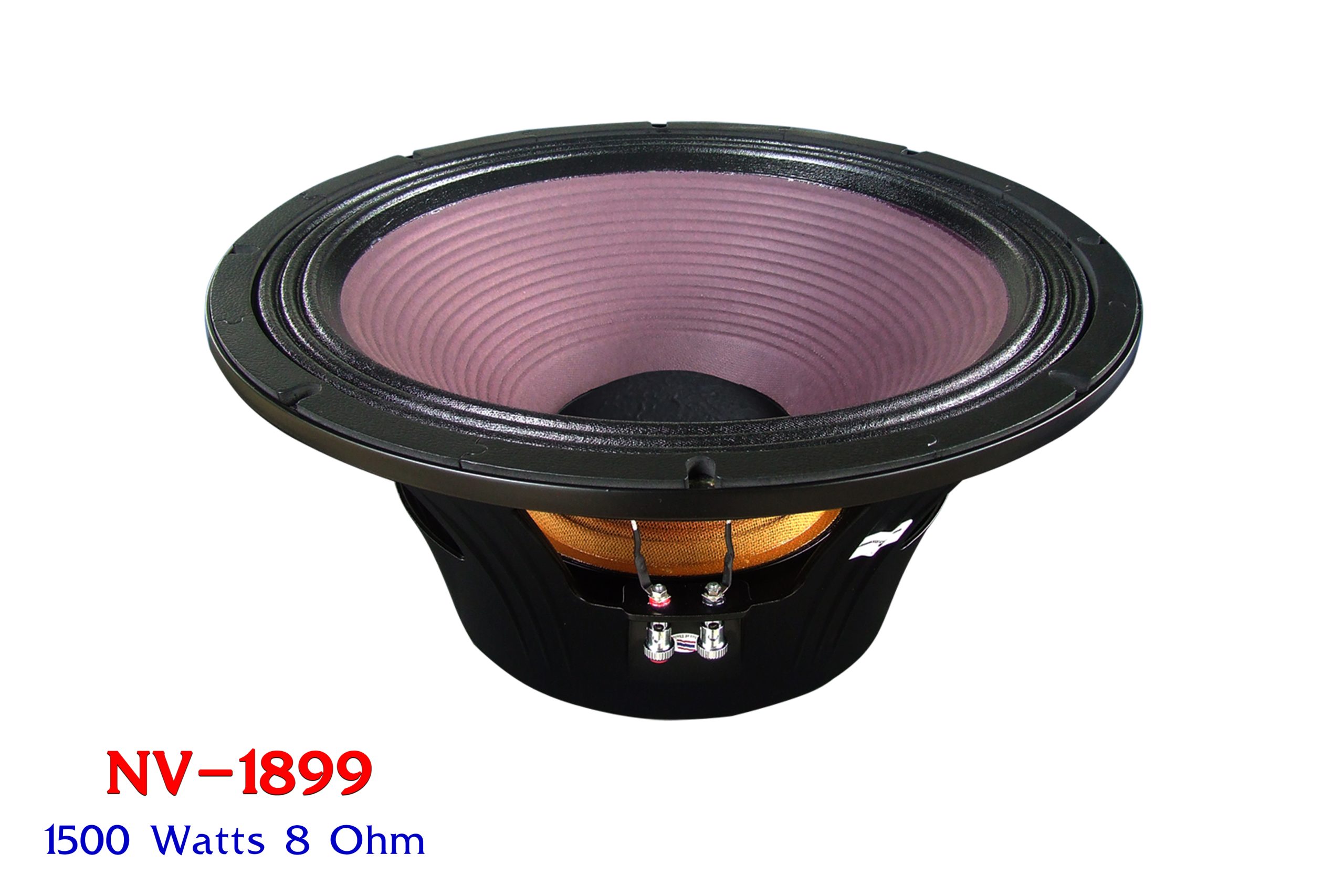 nanovaspeaker_com_0120_1_1_img1_5930