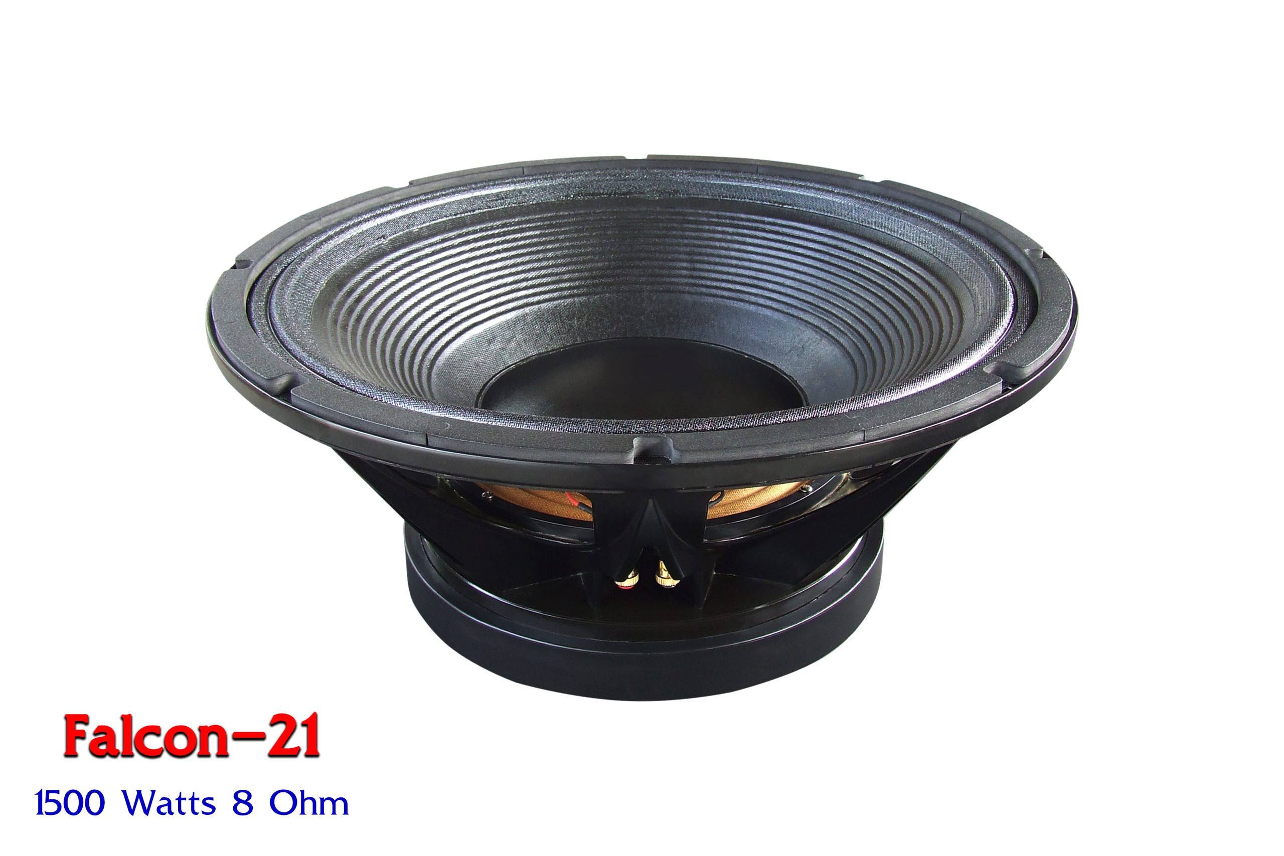 nanovaspeaker_com_0124_1_2_img1_4109