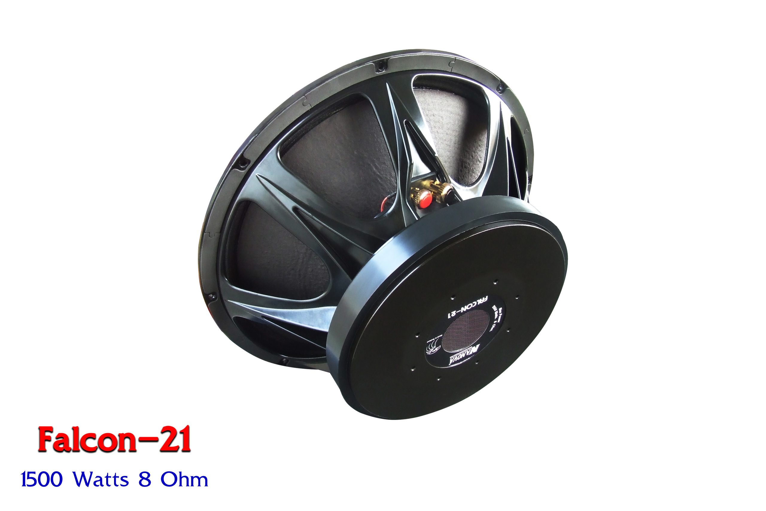 nanovaspeaker_com_0124_1_2_img2_4133