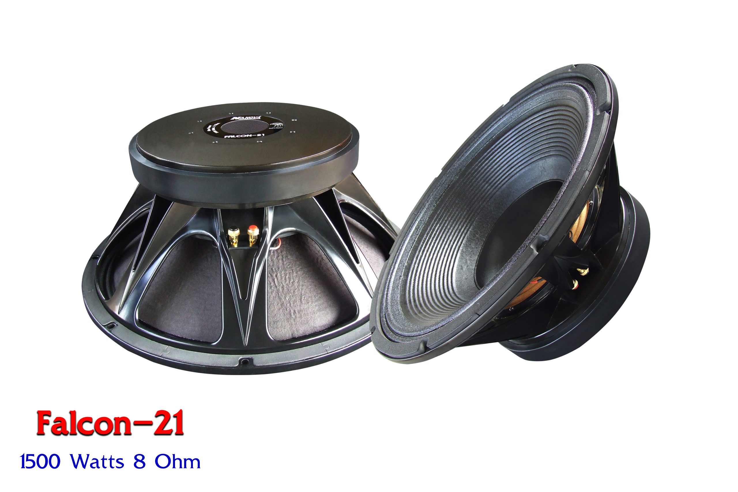 nanovaspeaker_com_0124_1_5_img1_4230