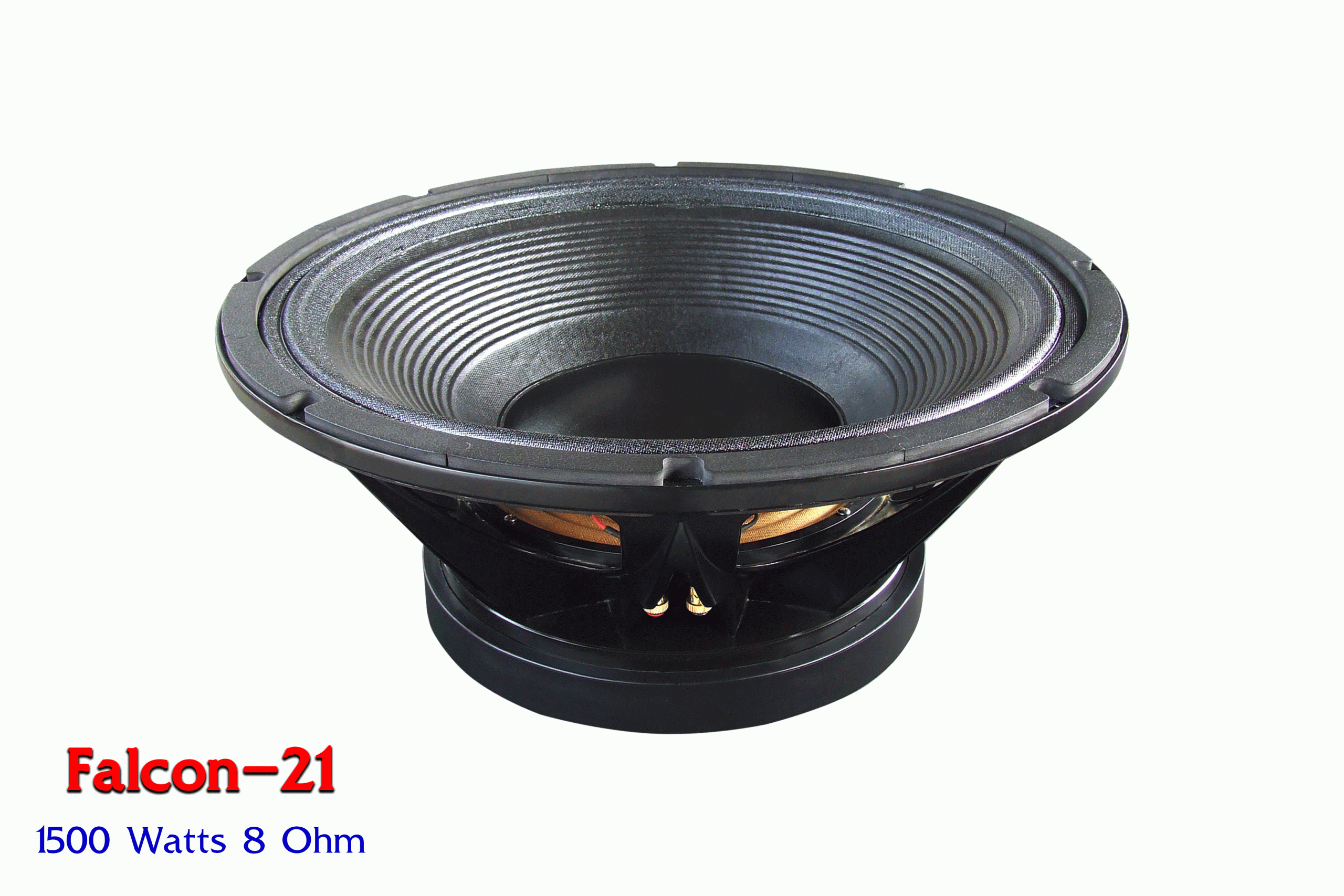 nanovaspeaker_com_0124_1_7_img1_4332